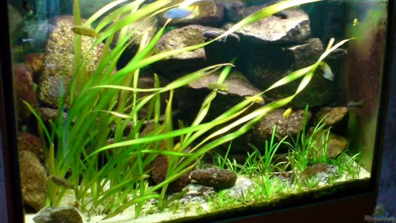 Juli 2009 von timme (16)