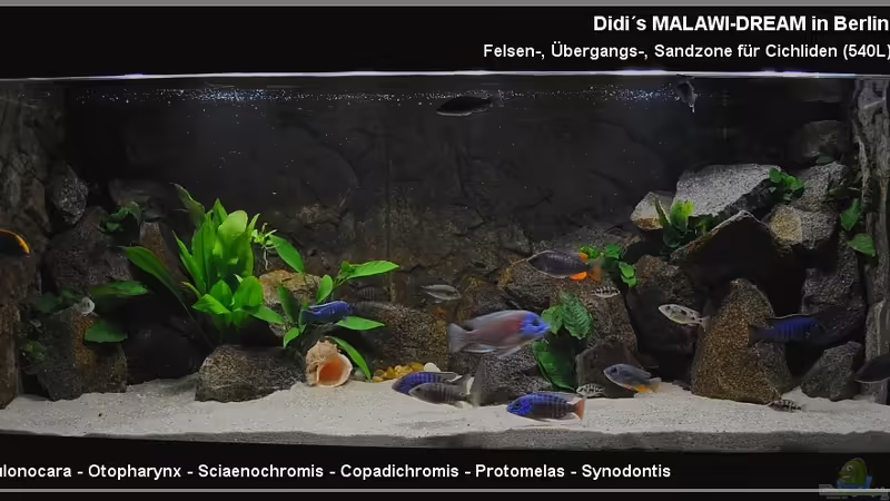 Juli 2010 von ***ELLIS*** (17)