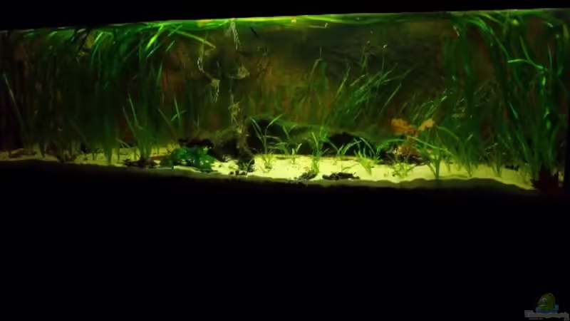 Juli 2012 von PH Neutral (3)