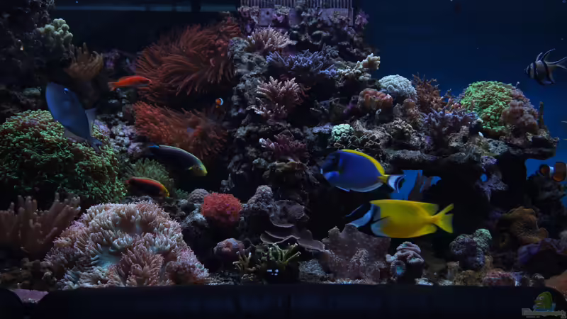 Juli 2012 von Stephan Ascher (19)