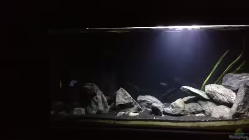 Juli 2013 von der Steirer (12)