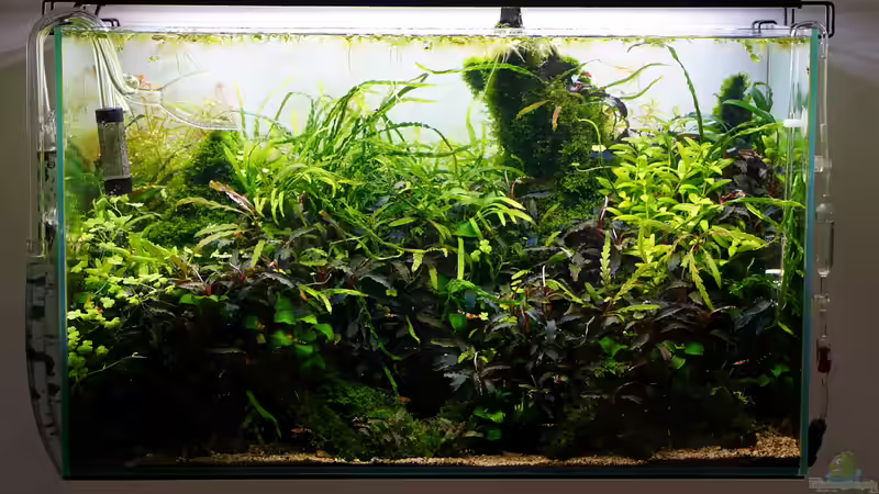 Juli 2018 von Micha... (13)