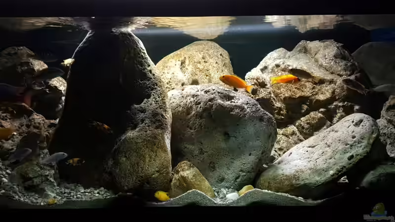 Juli 2019 von Mel (18)