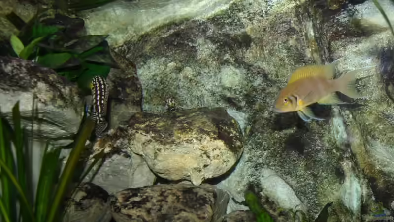 Juli und Neo von Ronald Müller (24)