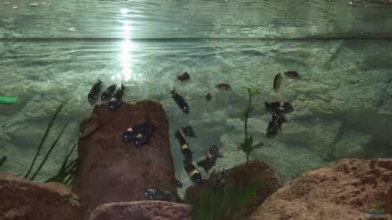 Juni 2007 von Anja und Ingo Hermes (17)