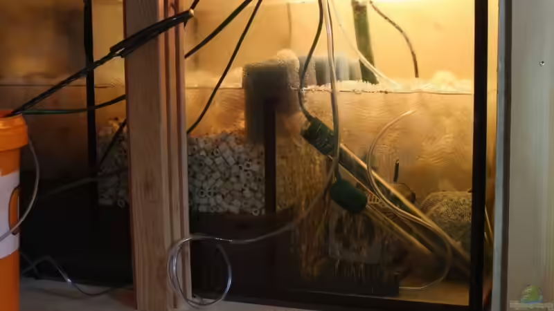 Juni 2009 Update mit Keramiksteinen, Sprudelstein und Zeolithsäckchen  von photizo (15)