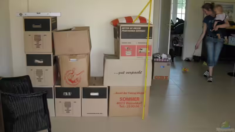 Juni 2010: Die erste Planung überhaupt. 2 Meter Breite und ca. 1,7 Tonnen waren von Rheinländer (24)