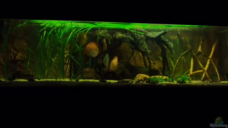 Juni 2012 von PH Neutral (1)