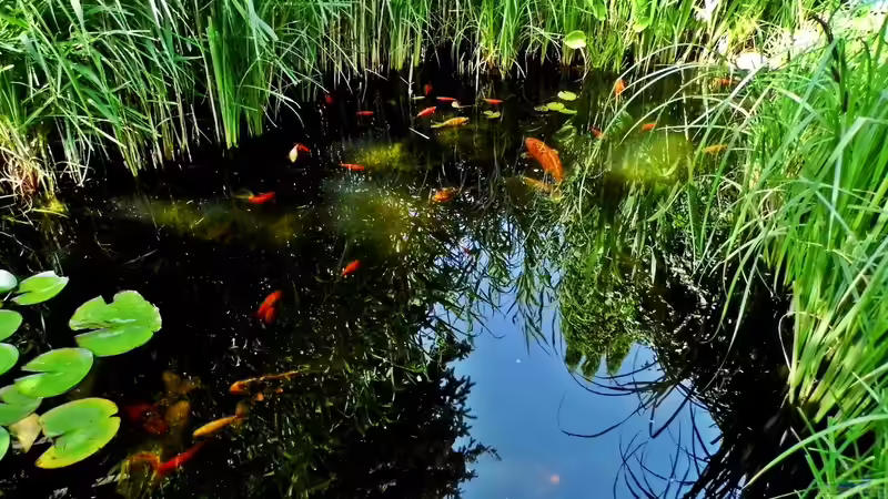 Juni 2014 von snooze (7)