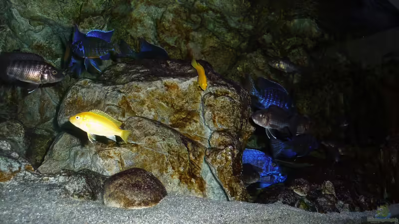 Juni 2018 von DER YBBSTALER (41)