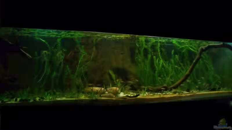 Juni-Dezember 2013 von PH Neutral (13)