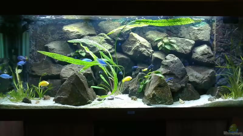 Juni2010 von Vision112 (1)