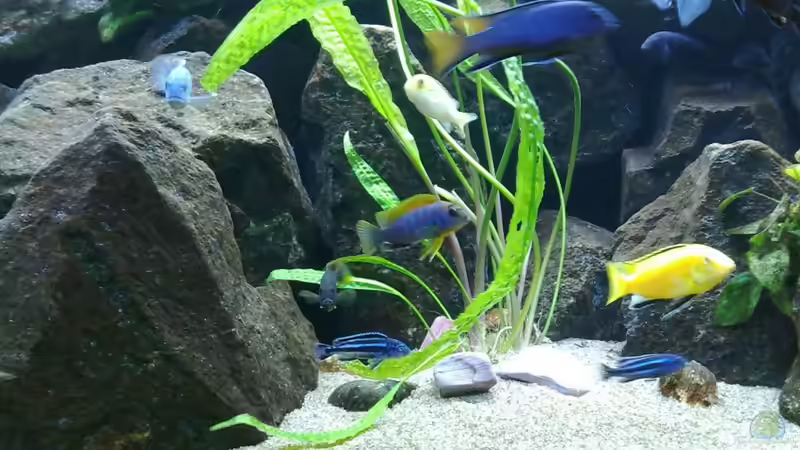 Juni2010 von Vision112 (13)