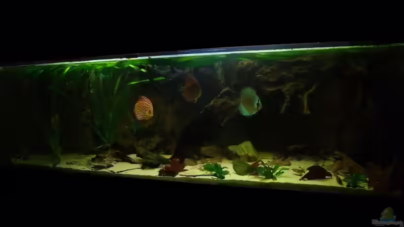 Juni2011 von PH Neutral (8)