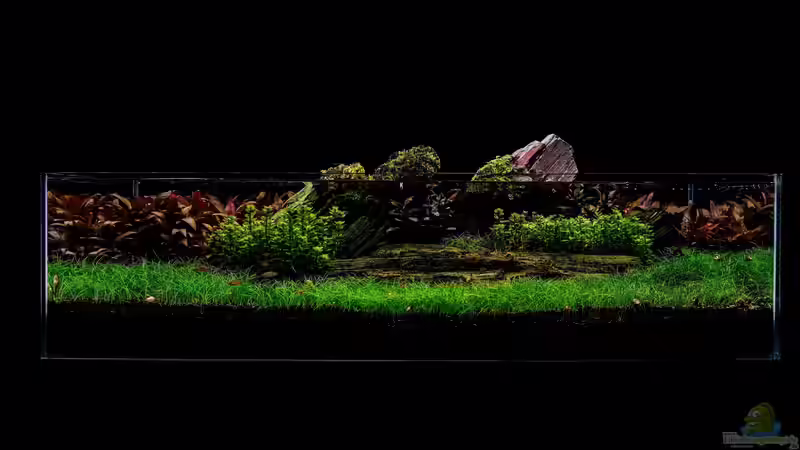 Jurassic Scape von Michael Wette (1)