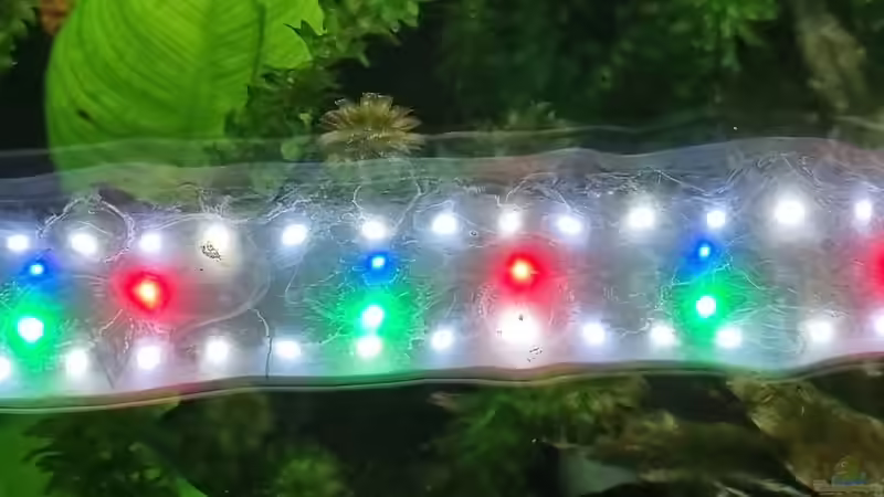 JUWEL Aquarium HeliaLux Spectrum 1200. 60 W von Jürgen De Leeuw (21)