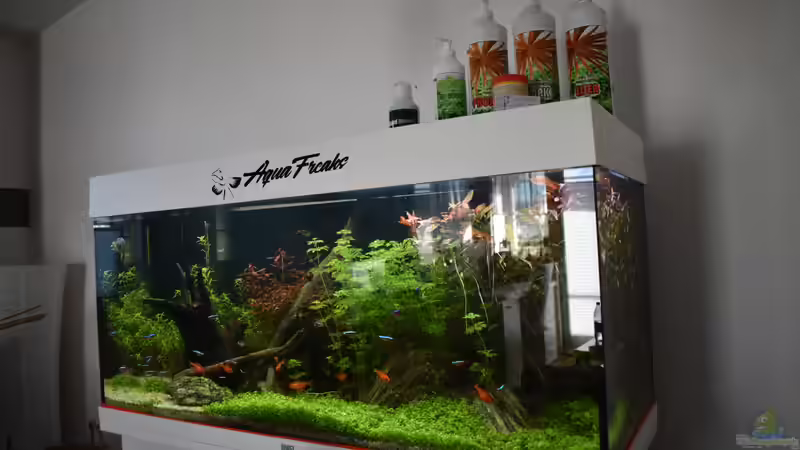 Juwel Aquarium RIO 180 am 27.02 2023  von Peter Peter (34)