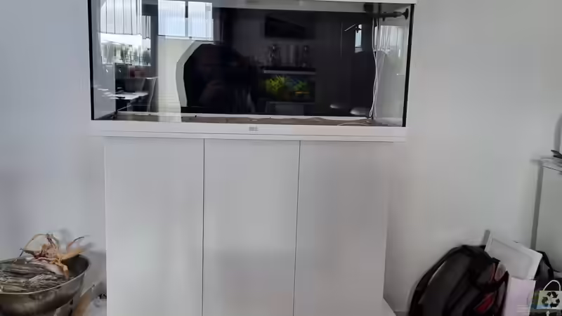 Juwel Aquarium RIO 180 Steht 16 cm höher durch die Europalette   Siebdruckplatte von Peter Peter (4)