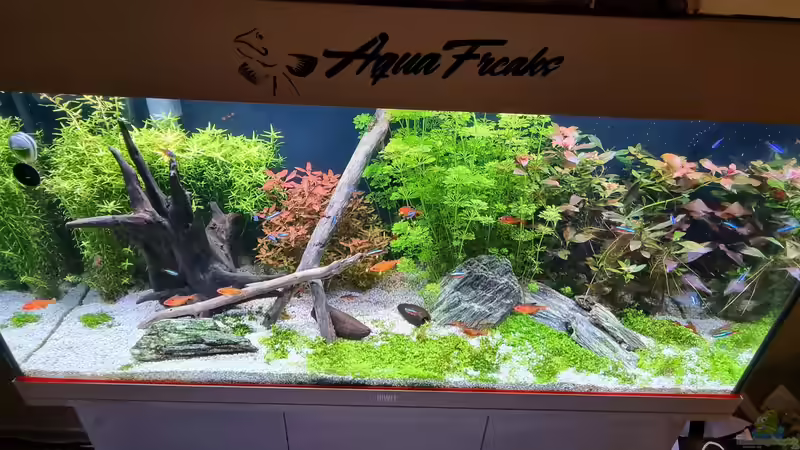 Juwel Aquarium RIO 180 von Peter Peter (32)