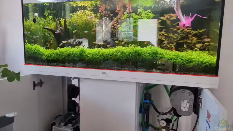 Juwel Aquarium RIO 180 von Peter Peter (40)