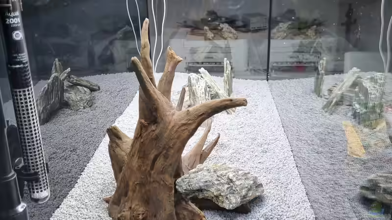 Juwel Aquarium RIO 180 von Peter Peter (74)