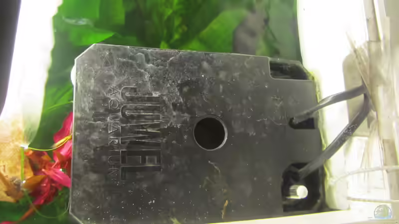 Juwel Bioflow 3.0 Innenfilter - 600l/h von Mofafi-Liebhaber (62)