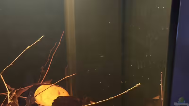 Juwel Bioflow von Andy Garnier (13)