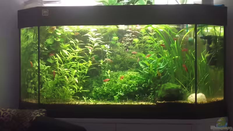 Juwel Delta 180l offen