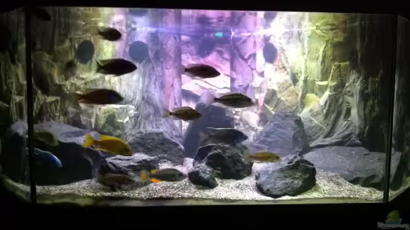 Juwel Delta 300 günstig abzugeben!!!!!