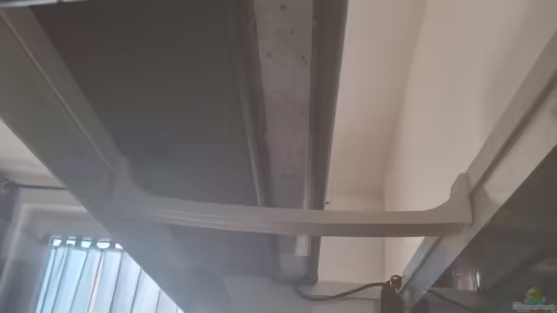 juwel Helialux 1000 von Peter Peter (83)