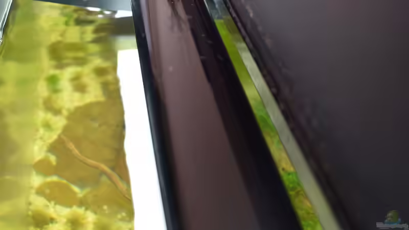 Juwel HIFLEX Reflector für die T5 Leuchtstoffröhren von David Schneider Aquaristik (20)