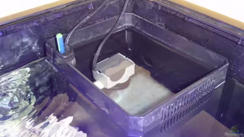 Juwel Innenfilter 1000l/h und 300 W heizer von Marzena & Christian Frenz (6)