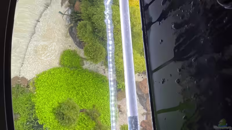 Juwel LED MultiLux von Mauri Cangini (15)