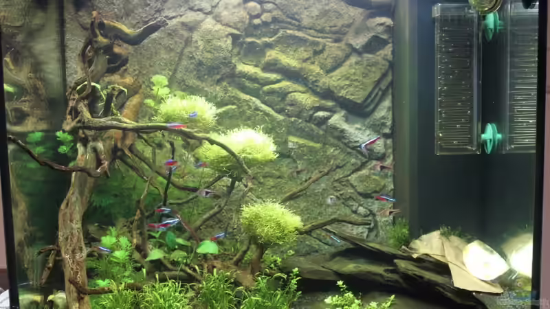 Juwel Lido 120  von Niklas Urban (1)