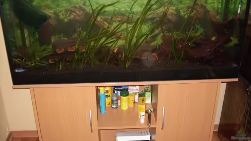 Juwel Rio 240 altes Bild von Samson (2)