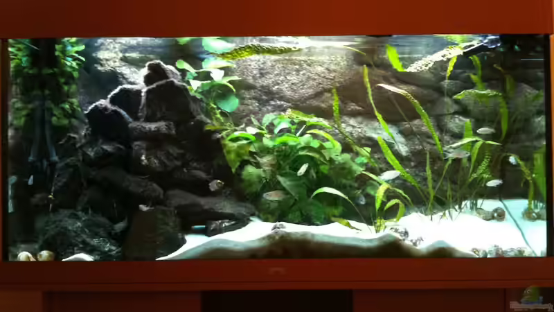 Juwel Rio 300 von XDennisX3 (1)