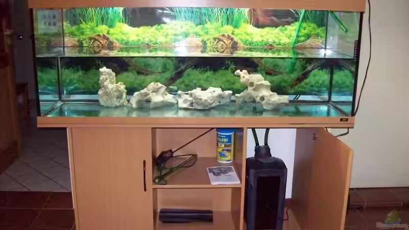 Juwel Rio 400  151 x 51 x 62 cm von Vili (2)