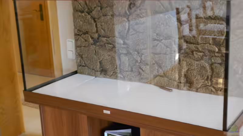 Juwel Rückwand auf 1cm dicke Styro-Platte von Ole Möhre (4)