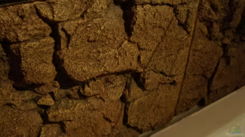 JUWEL Rückwand ´Rock´ von Jürgen Langer (8)