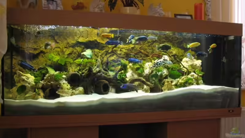 juwel standart becken mit original unterschrank