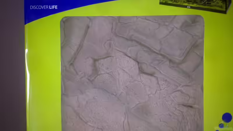 Juwel Stone Lime von Steven Tumma (32)