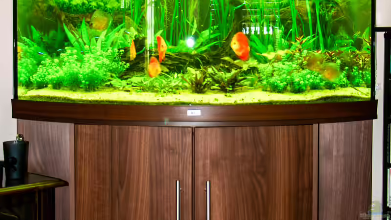 Juwel Trigon 350 (inkl. Unterschrank)  von Phil Cave (2)