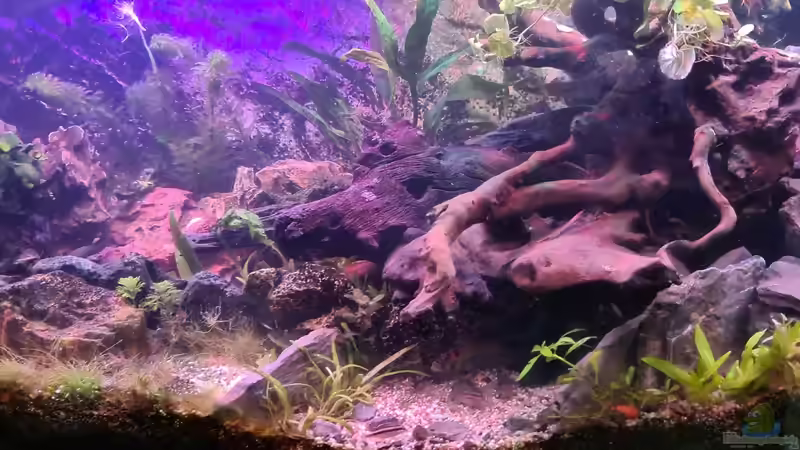 Juwel Vision 180 von Sven Schaefer (1)