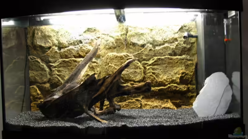 Juwel Vision 180 von ZYX82 (2)