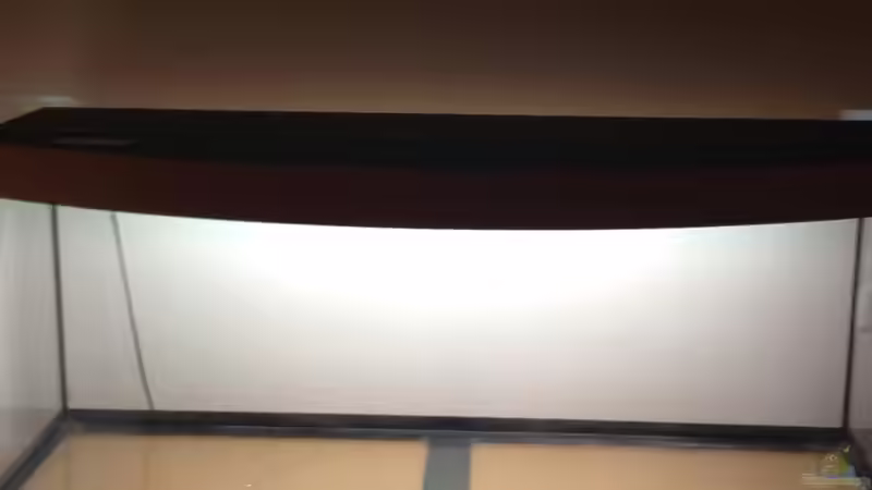 Juwel Vision 450 Leer von Tobias Sch. (2)