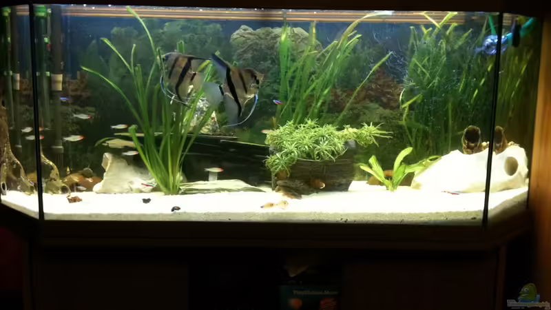 Juwel von Red Belly (1)