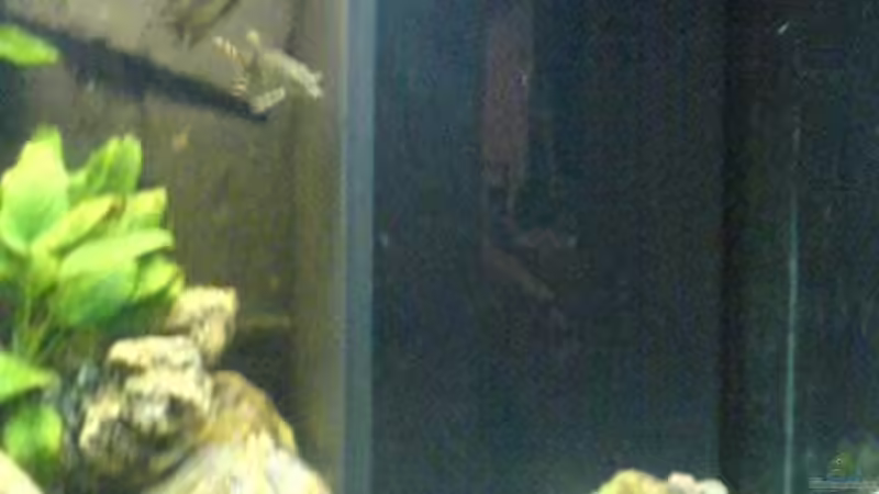 juwelfilter 1000l/std von Markus Ludwar (13)