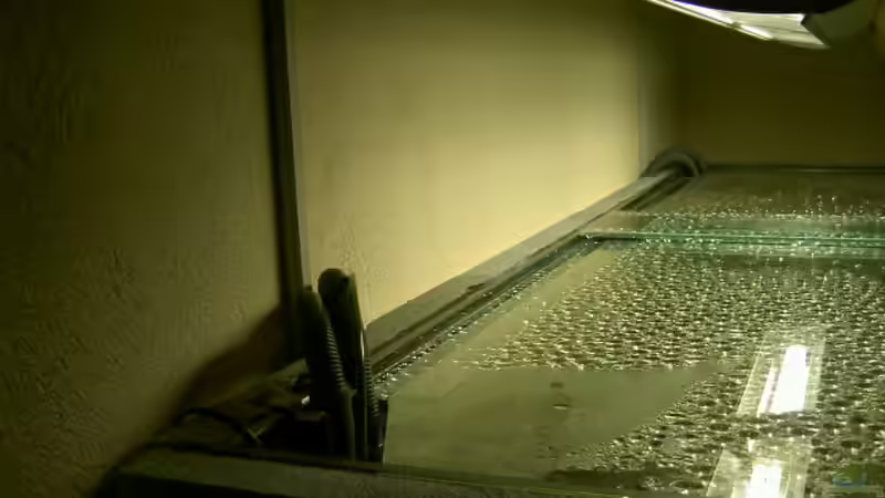 Kabel und Schläuche sind schön sauber verlegt von Thorsten Peetz (8)