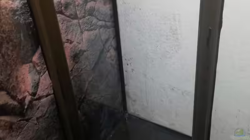 Kabelschacht´leisten´ mit Aquariumsilikon verklebt von Beulenkopftyp (38)