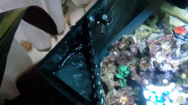 Kahmhaut ade von Dirk Schäfer (15)